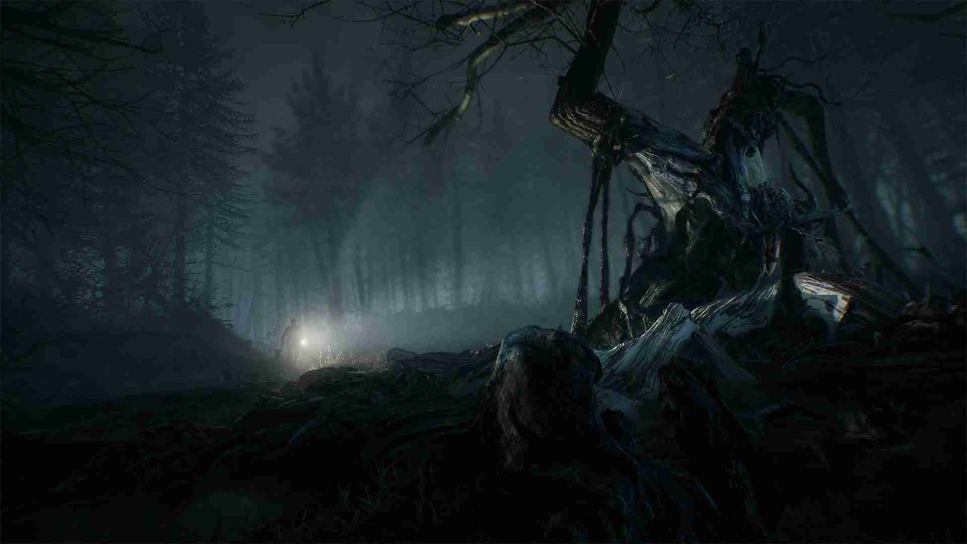 Blair Witch – 4K Tour Of Woods Trailer