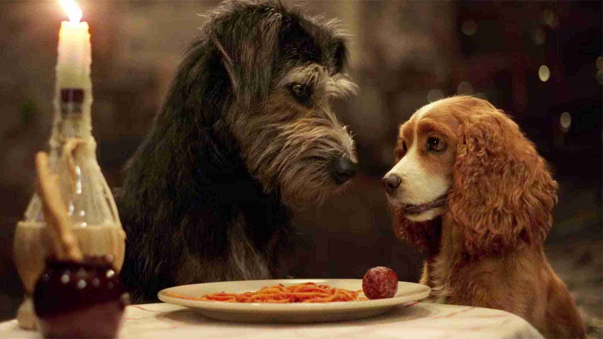 Lady And The Tramp – Trailer #2